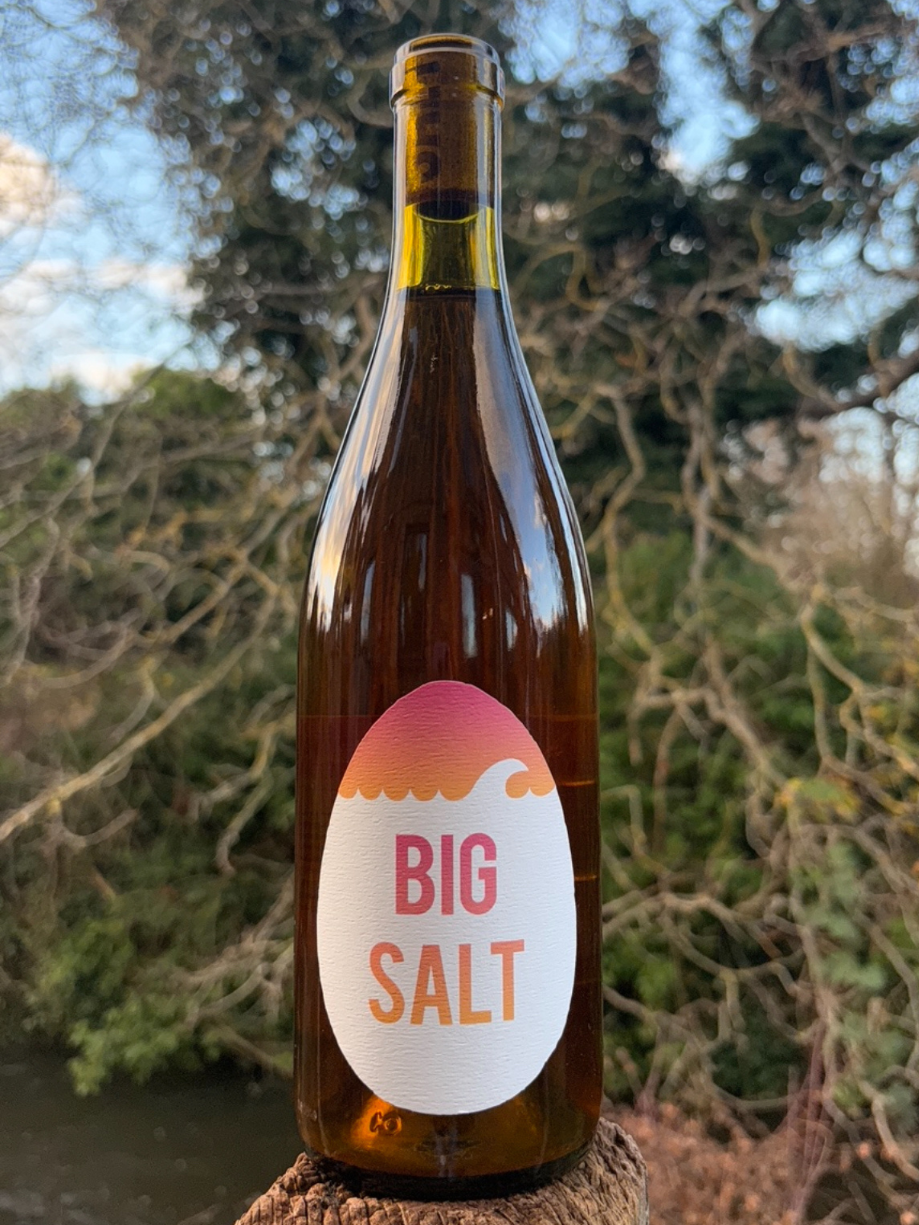 Big Salt Orange Rosé