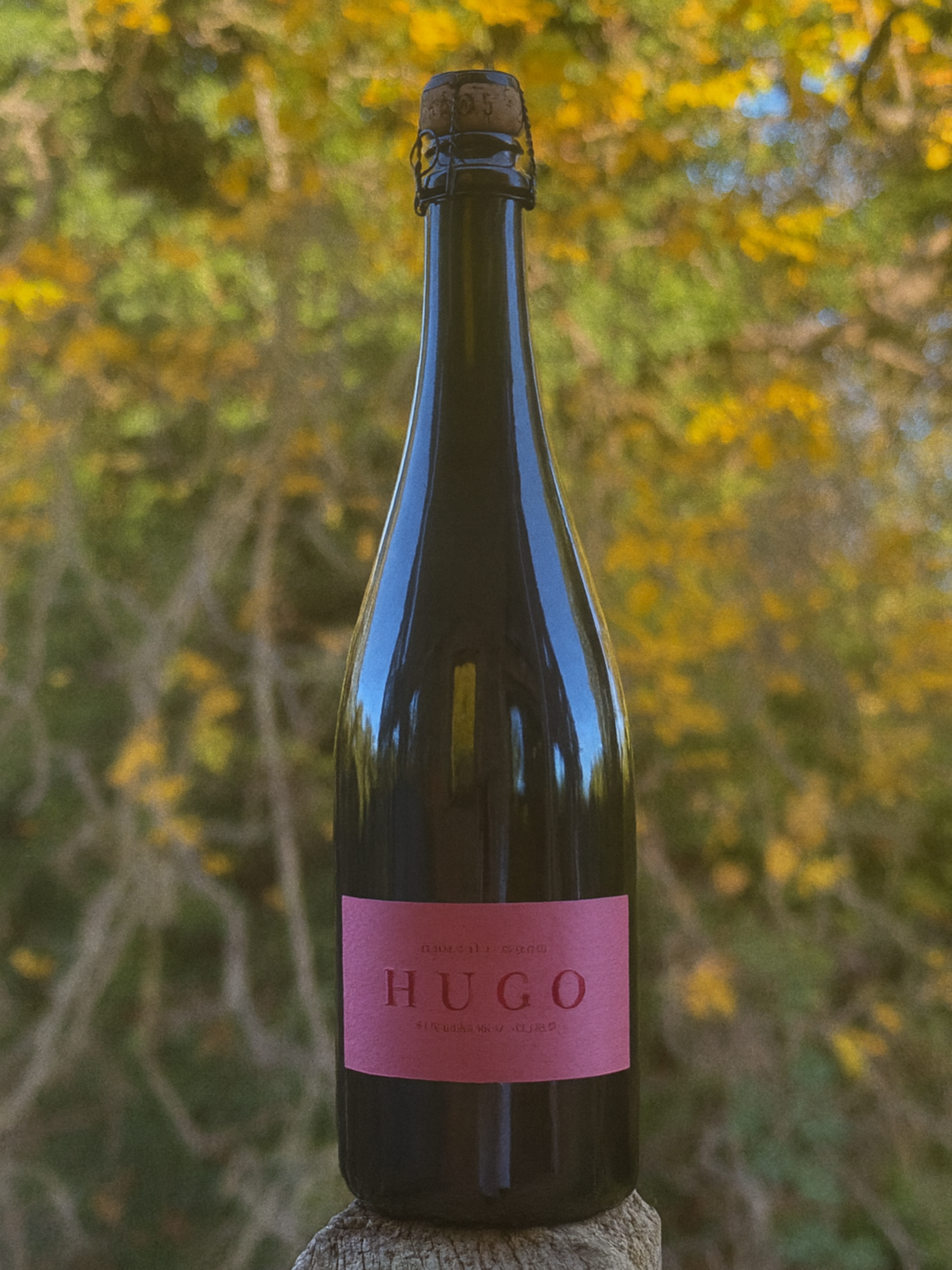 Domaine Hugo Rosé