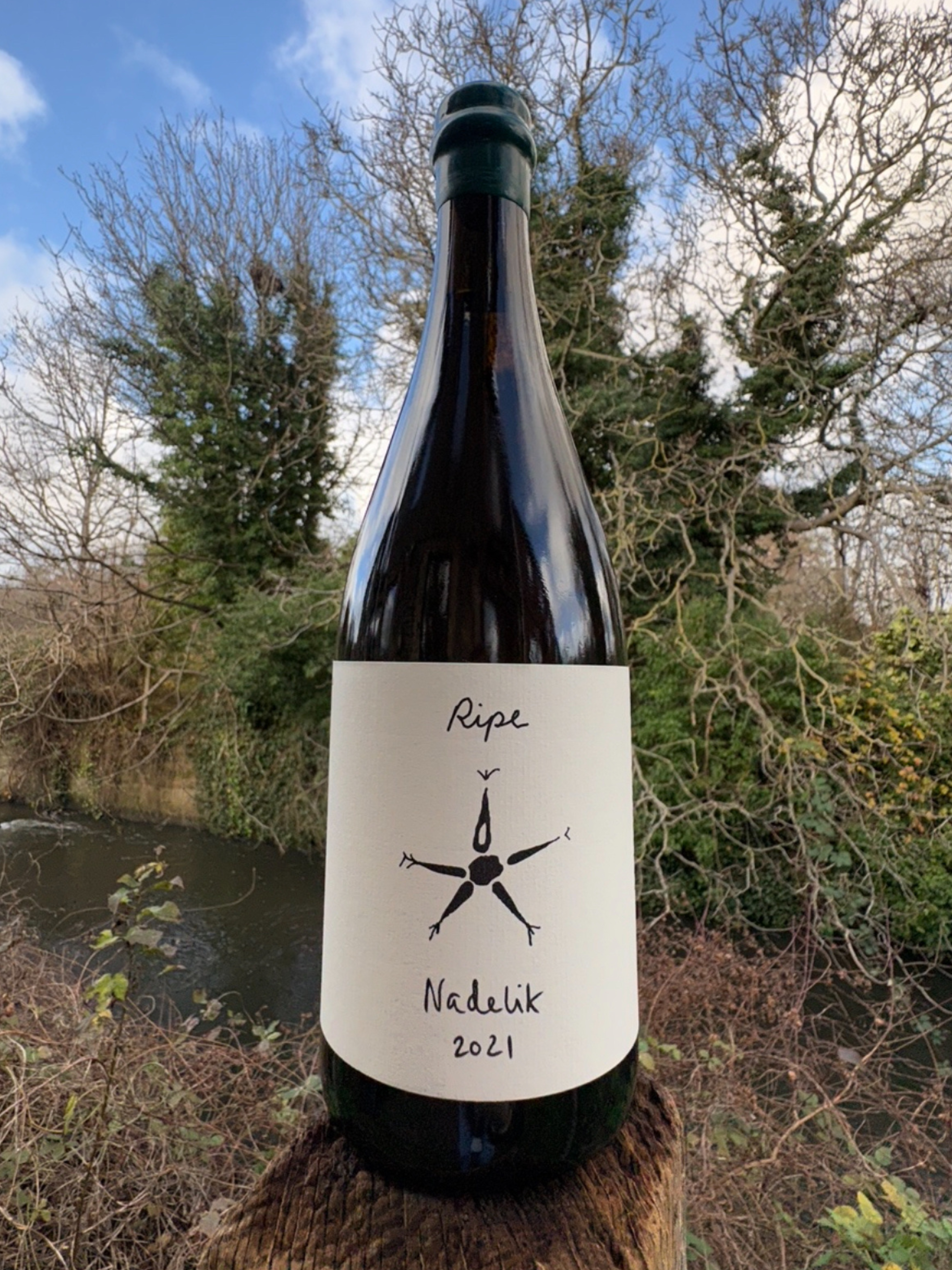 Nadelik cider 2021