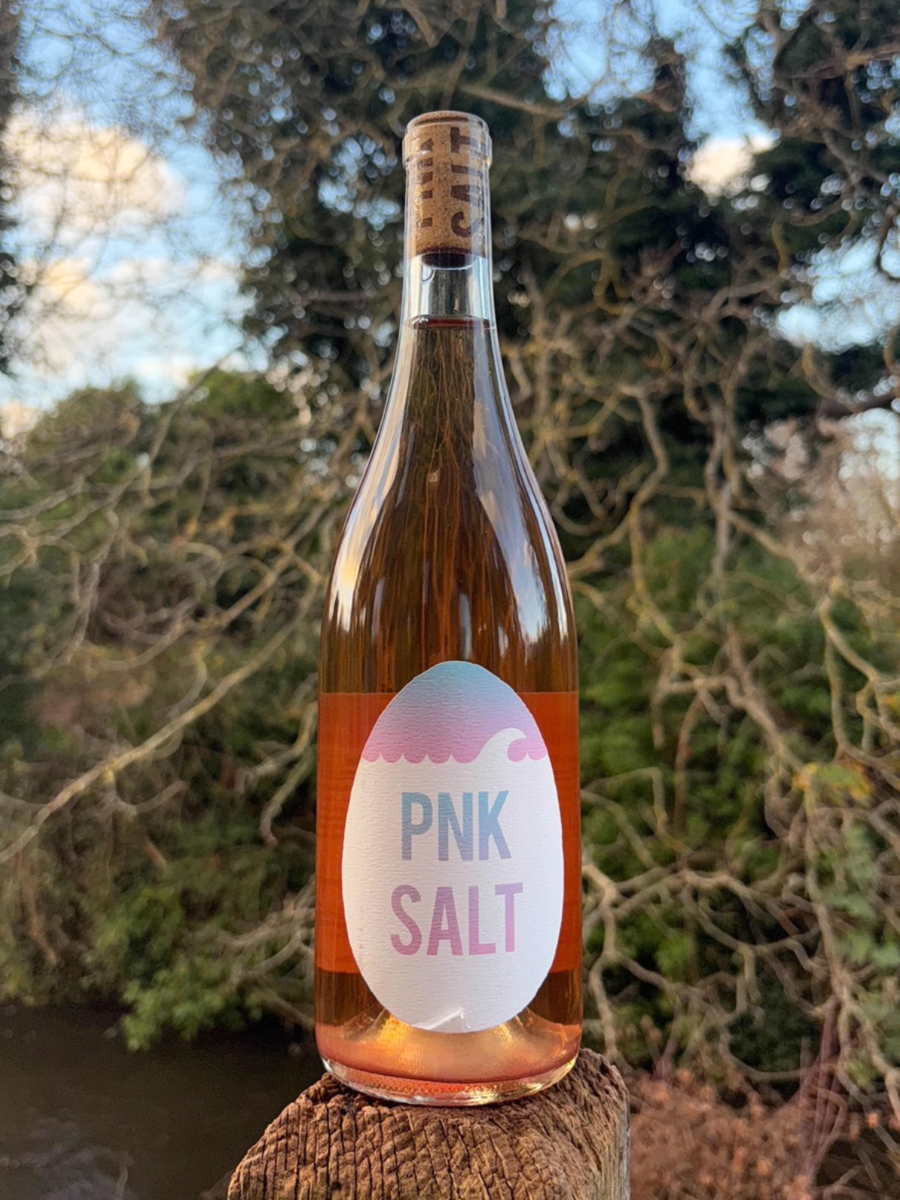 Pnk Salt Rosé