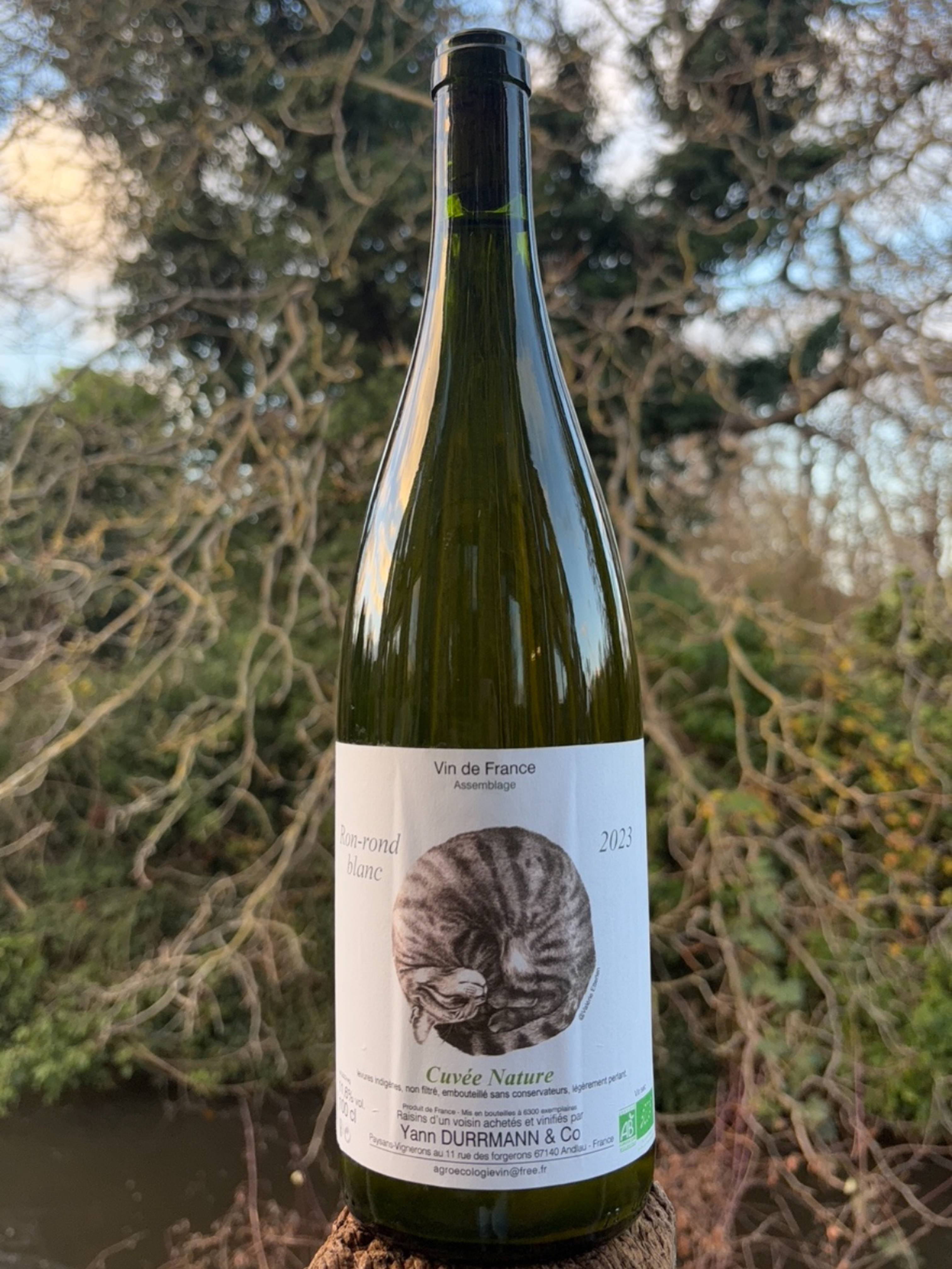 Ron‑Rond Le Litron Blanc