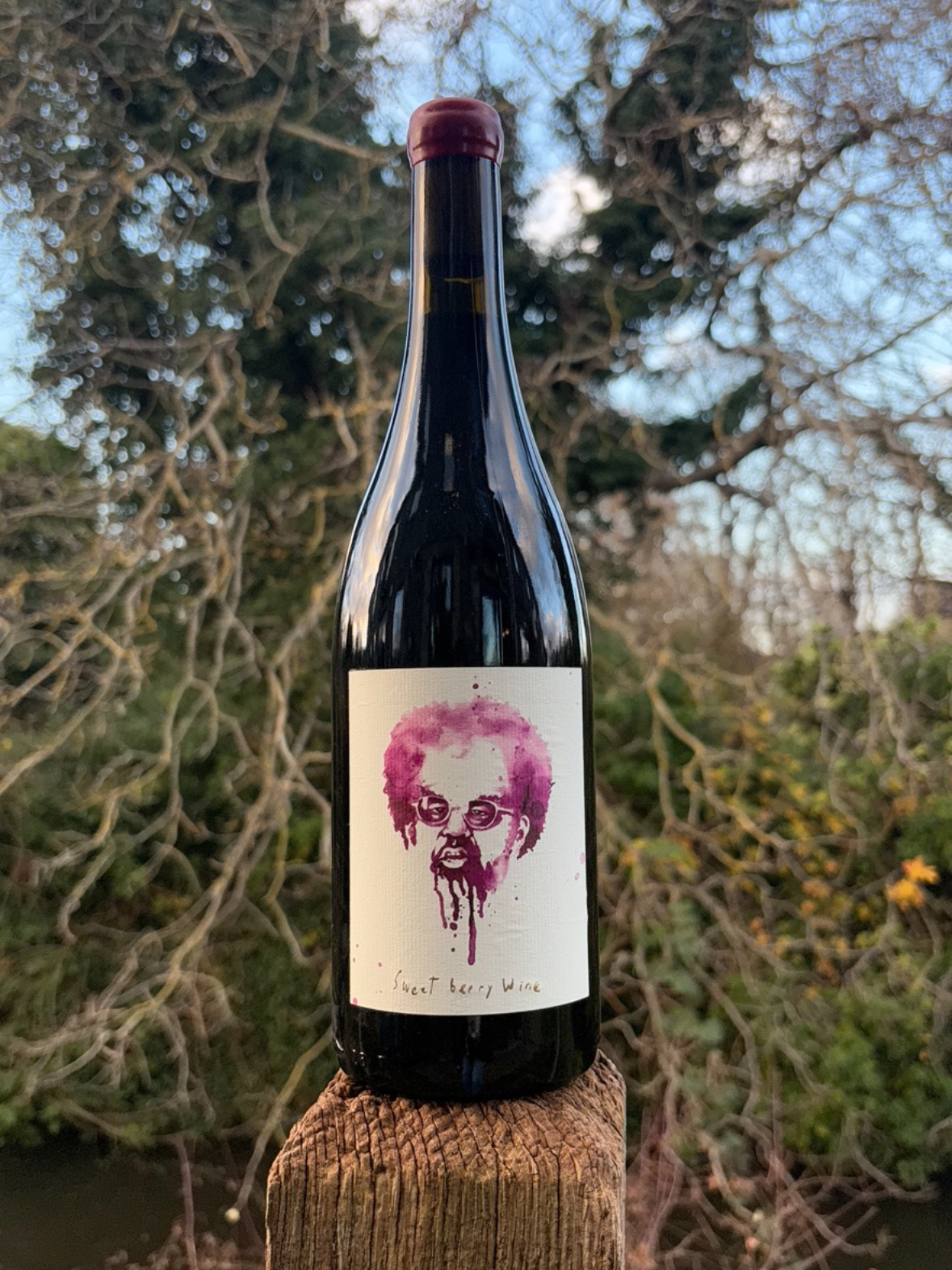 Sweet Berry Wine