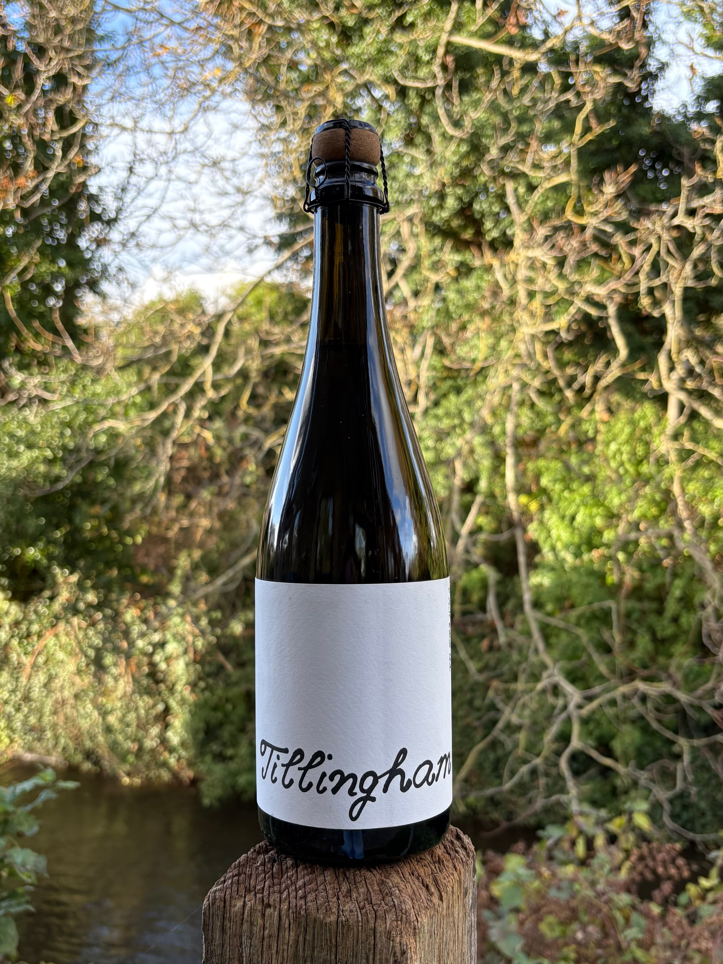 Tillingham Sparkling