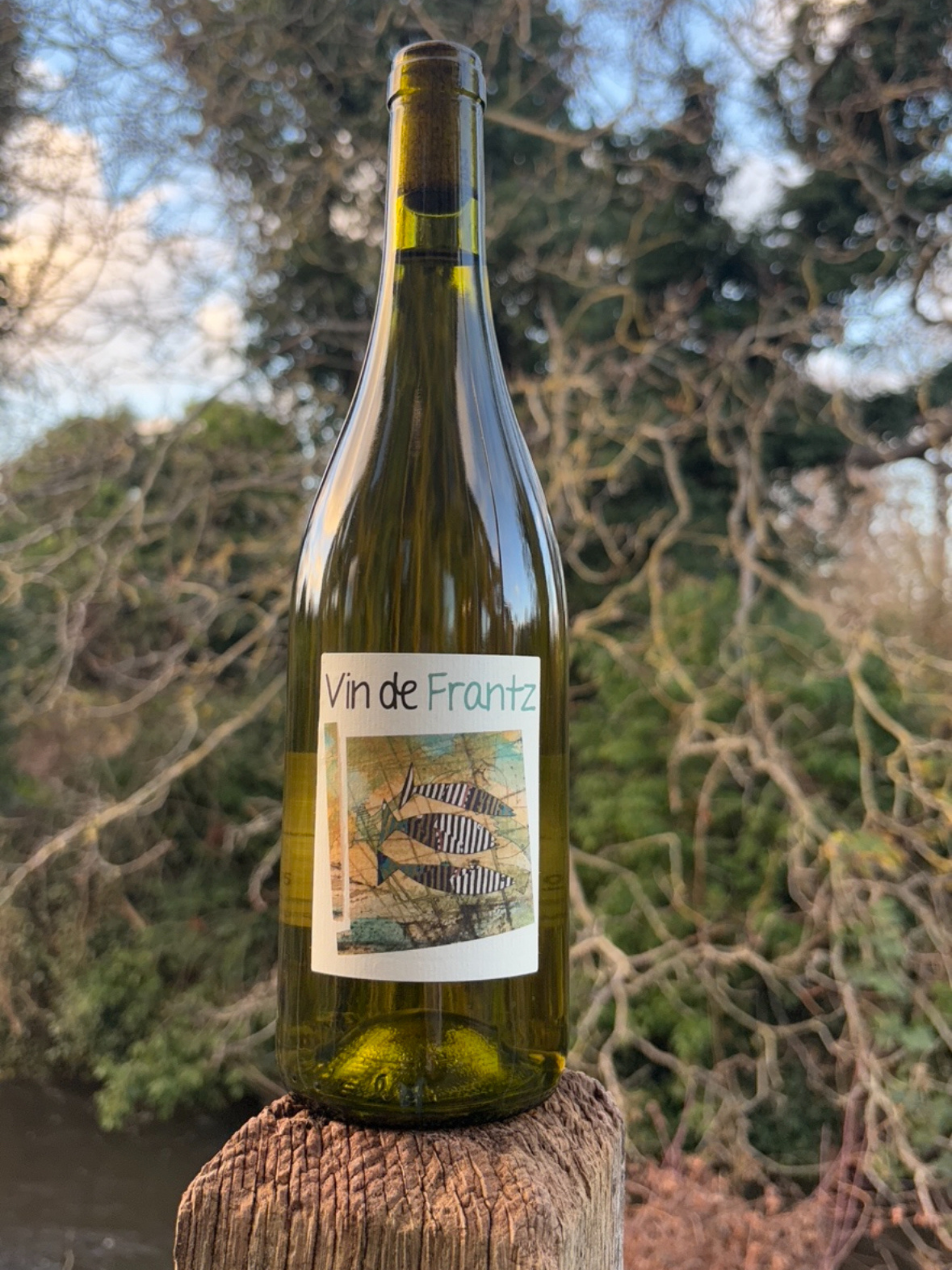 Vin de Frantz Chenin Blanc 2023